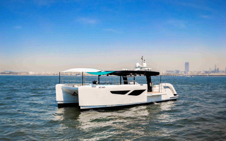 Sky Walker 55